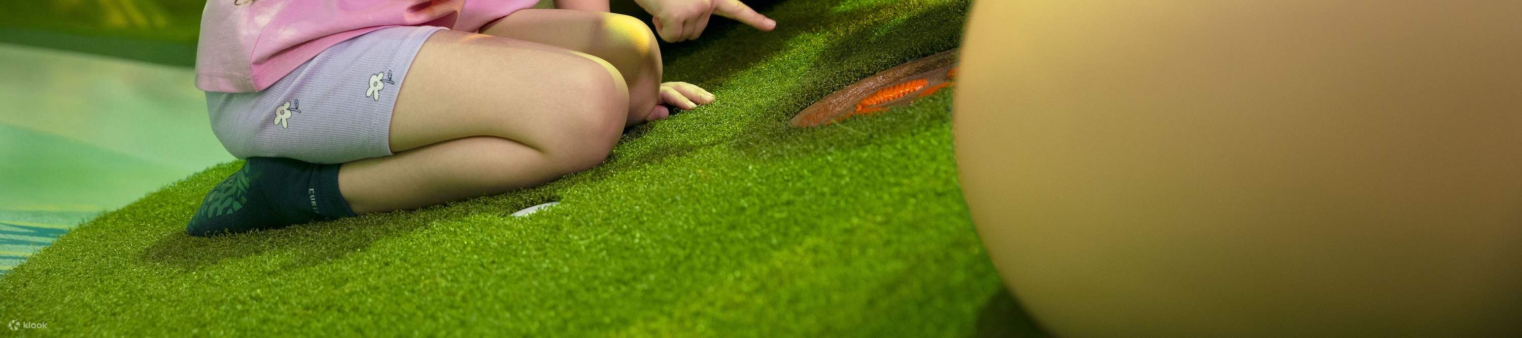 Curiosity Cove Ticket | Mandai Wildlife Reserve, Singapore